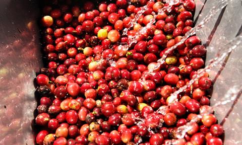 Food and beverage wastewater treatment