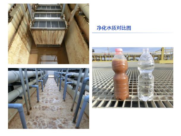 净水水质对比图