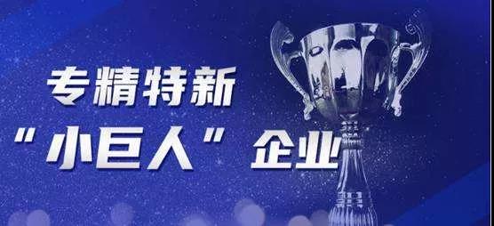 2021年度省专精特新小巨人企业